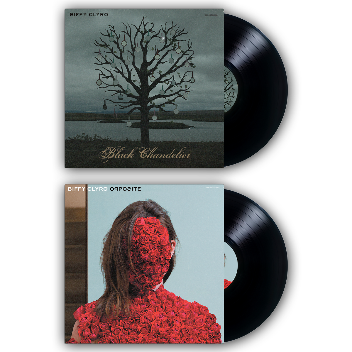 Opposites Anniversary Vinyl Bundle Biffy Clyro Official Store